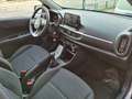 Kia Picanto 1.0 5 porte * 5600 km* Grigio - thumbnail 9