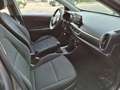 Kia Picanto 1.0 5 porte * 5600 km* Grigio - thumbnail 11