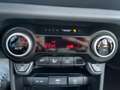 Kia Picanto 1.2 Spirit Launch Edition KlimaA LM KAM Schwarz - thumbnail 17
