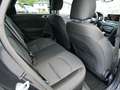 Kia Ceed SW / cee'd SW 1,6 CRDi SCR ISG Silber 48V DCT Schwarz - thumbnail 15