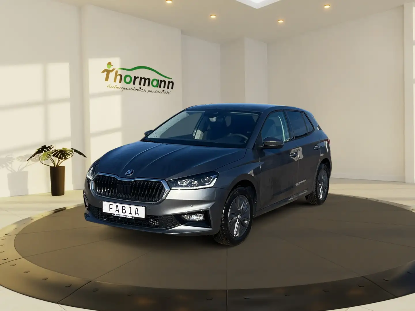 Skoda Fabia Tour 1.0 TSI DSG beheizb.Lenkrad Kessy Gris - 2