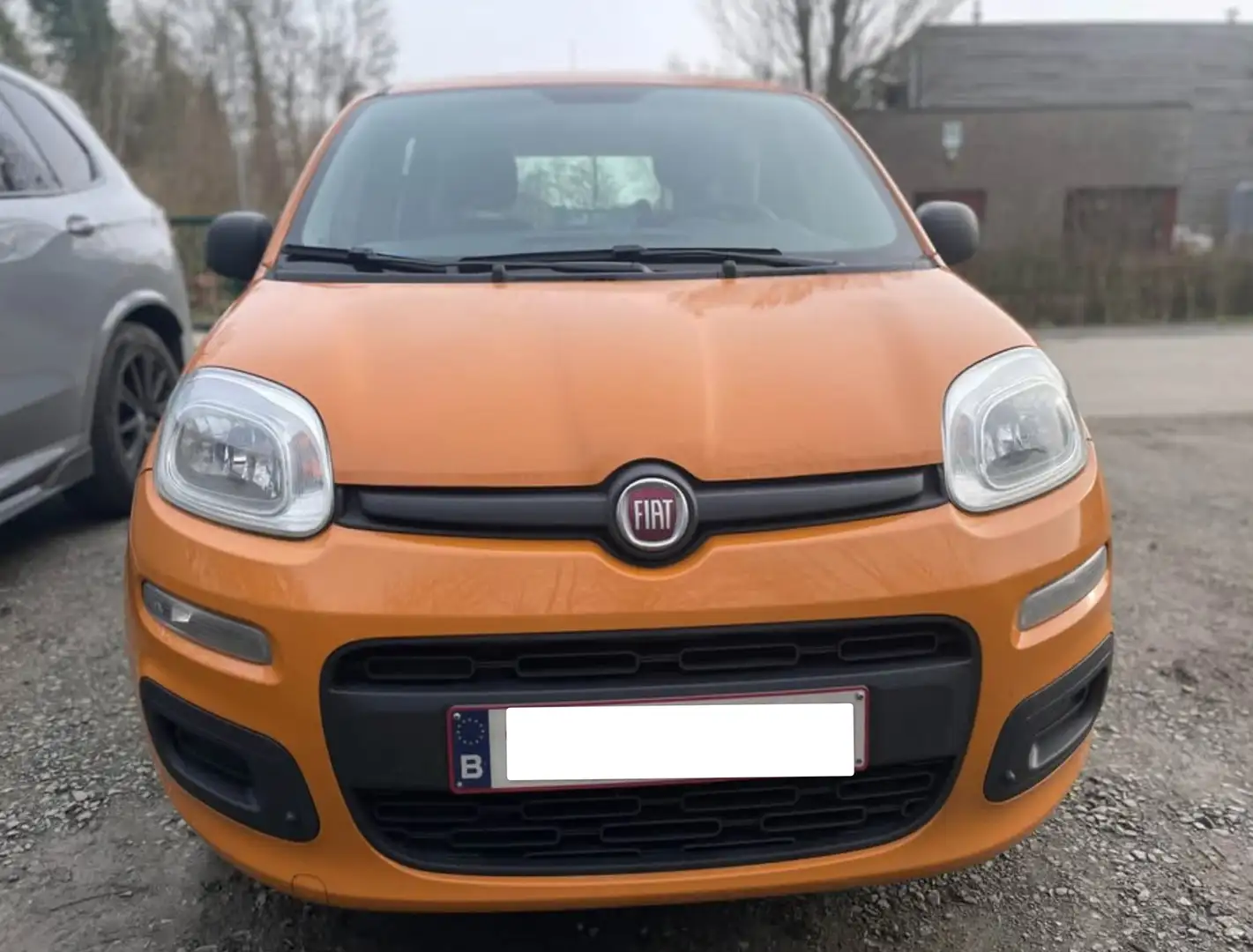 Fiat Panda Orange - 2