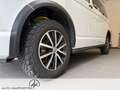 Volkswagen T6 Multivan T6 2.0TDI 4Motion Multi/Trendl /Seikel Umbau/AHK Weiß - thumbnail 23