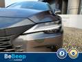Lexus RX 450h 450H+ 2.5 PHEV LUXURY E-CVT Grigio - thumbnail 11