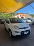 Fiat Panda 1.0 firefly hybrid s&s 70cv 5p.ti - thumbnail 2
