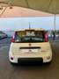Fiat Panda 1.0 firefly hybrid s&s 70cv 5p.ti - thumbnail 3