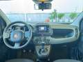 Fiat Panda 1.0 firefly hybrid s&s 70cv 5p.ti - thumbnail 6