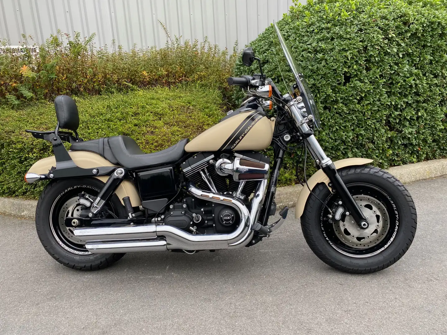 Harley-Davidson Dyna Fat Bob Béžová - 1