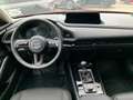 Mazda CX-30 e-Skyactive G140 Prime-Line Rot - thumbnail 7