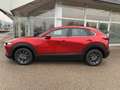 Mazda CX-30 e-Skyactive G140 Prime-Line Rot - thumbnail 11