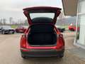 Mazda CX-30 e-Skyactive G140 Prime-Line Rot - thumbnail 10