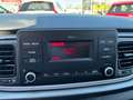 Kia Rio 1,25 MPI Titan 84PS 31.000km Grau - thumbnail 4