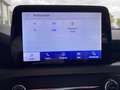 Ford Focus Cool & Connect MHEV+LED+NAV+DAB+PDC+KeyFree Argent - thumbnail 21