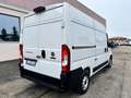 Fiat Ducato L2 H2 AT 9 PARI AL NUOVO SOLI 14900KM SERIE 9 Bianco - thumbnail 9