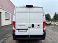 Fiat Ducato L2 H2 AT 9 PARI AL NUOVO SOLI 14900KM SERIE 9 Bianco - thumbnail 7