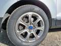 Ford EcoSport 1.0 EcoBoost 100CV GPL Argento - thumbnail 9