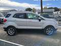 Ford EcoSport 1.0 EcoBoost 100CV GPL Argento - thumbnail 8