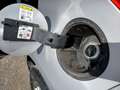 Ford EcoSport 1.0 EcoBoost 100CV GPL Argento - thumbnail 11