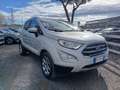 Ford EcoSport 1.0 EcoBoost 100CV GPL Argento - thumbnail 1