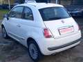 Fiat 500 1.2 Pop 69cv no mail Bianco - thumbnail 6