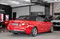 BMW 240 CABRIO| INDIVIDUAL|ACC|NAVI PROF|KAMERA Czerwony - thumbnail 8