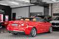 BMW 240 CABRIO| INDIVIDUAL|ACC|NAVI PROF|KAMERA Czerwony - thumbnail 7