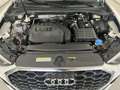 Audi Q3 SPB 35 TFSI S tronic Business Plus Blanco - thumbnail 39