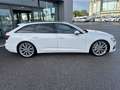Audi A6 Avant 50 3.0TDI E6D quattro tiptronic SLine '21IVA Bianco - thumbnail 4