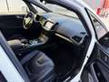 Ford S-Max S-MAX ST-Line 2,5 Duratec Hybrid ST-Line Weiß - thumbnail 12