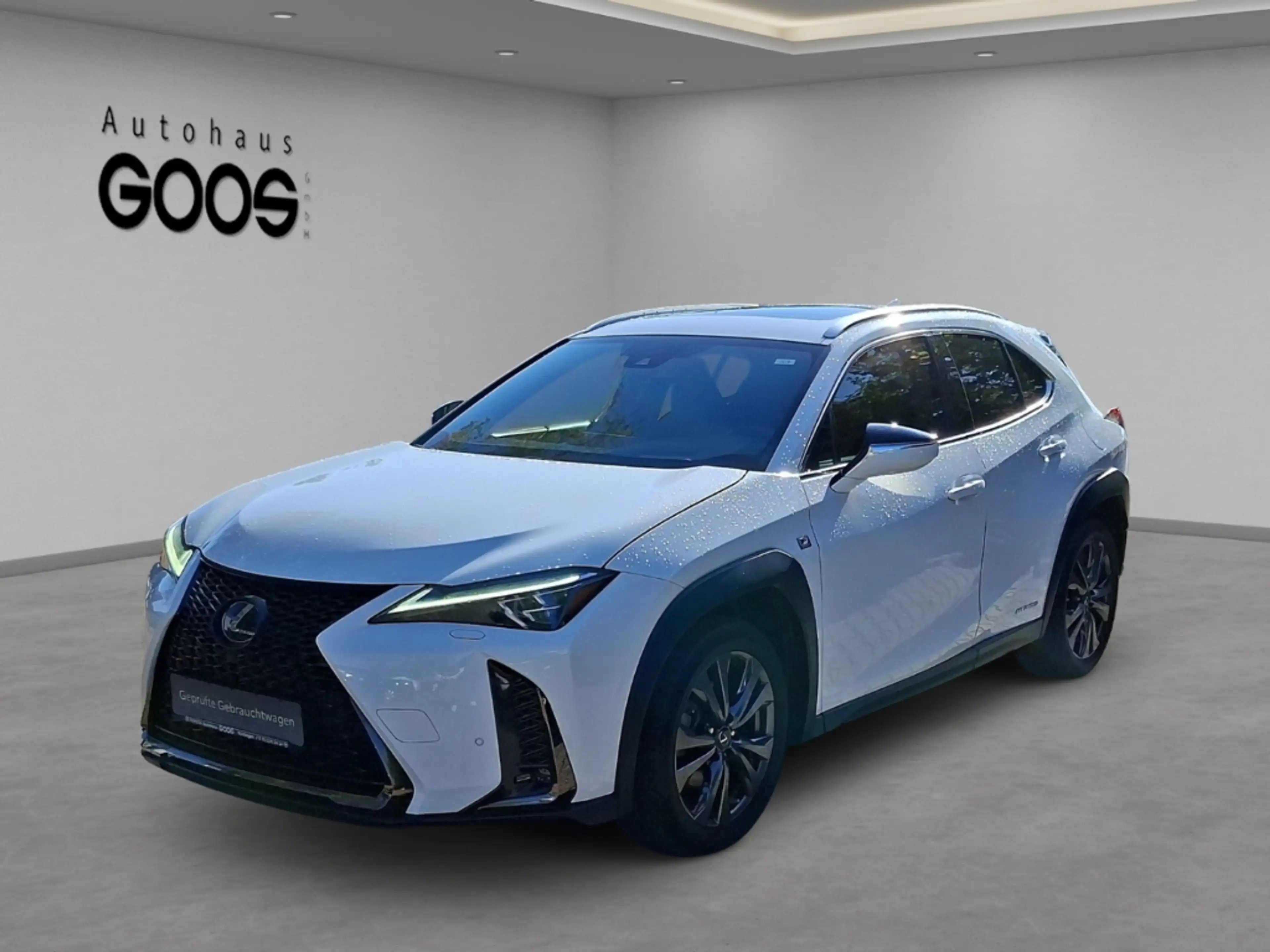 Lexus UX 250h Sportpaket El. Panodach Navi Leder Memory Sitze So