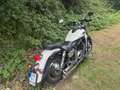 Kawasaki VN 1500 LED & Falcon - thumbnail 4