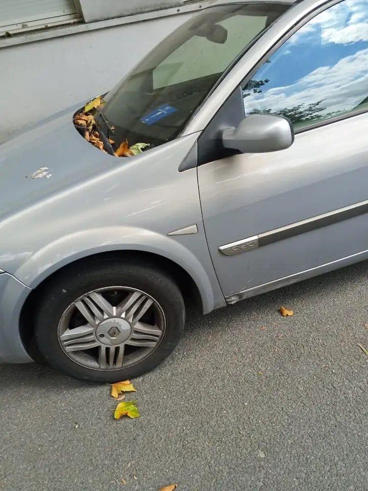 Renault Megane Berline — photo 2