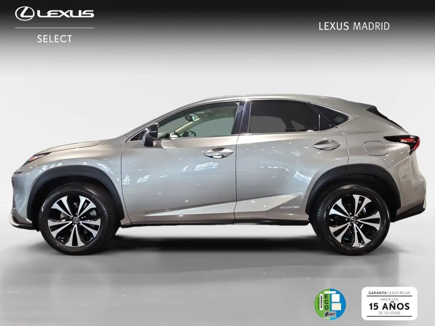 Lexus NX 300 300h Premium 2WD Silber - 2