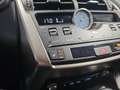 Lexus NX 300 300h Premium 2WD Silber - thumbnail 19