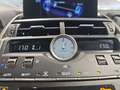 Lexus NX 300 300h Premium 2WD Silber - thumbnail 18