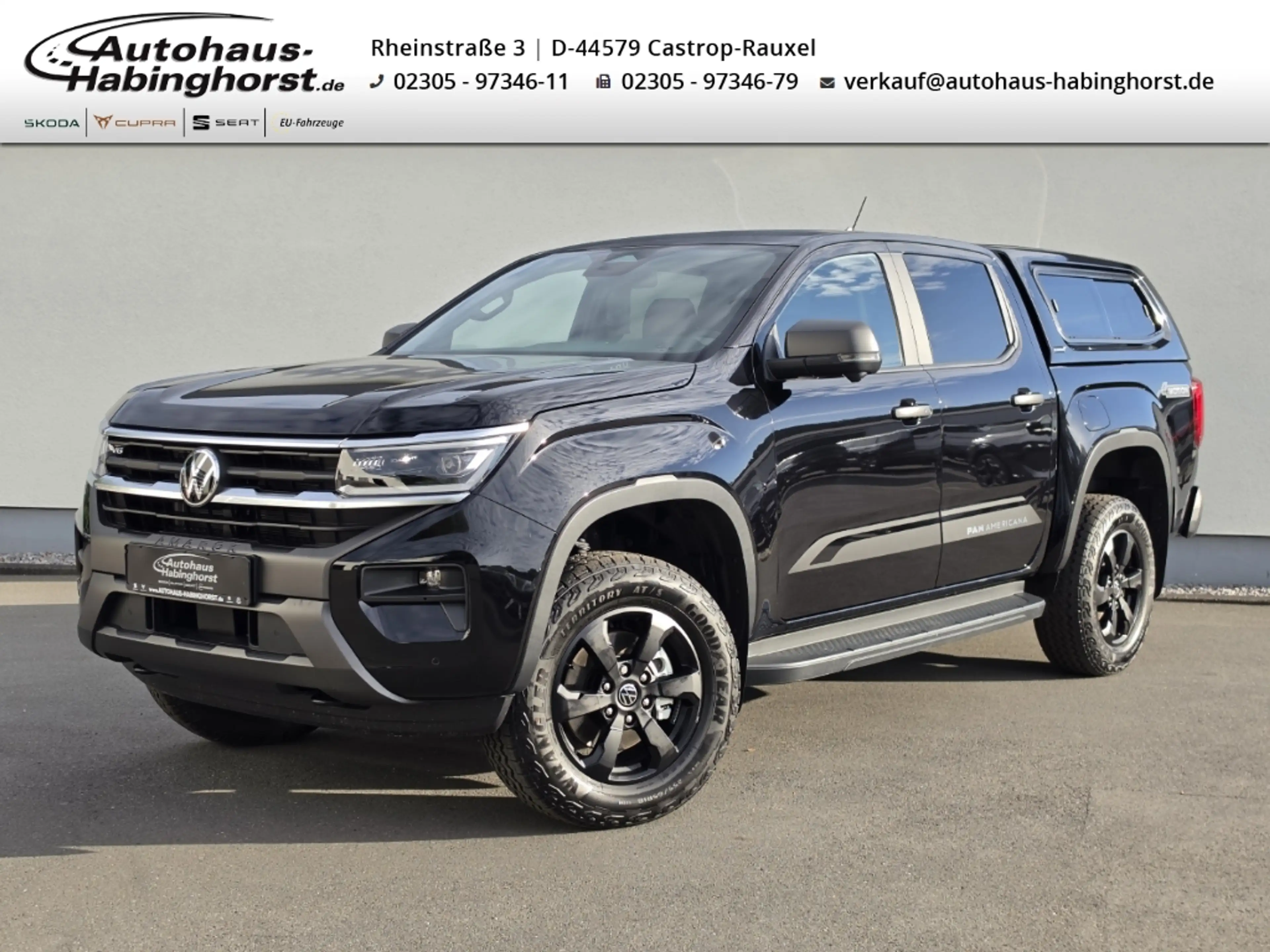 Volkswagen Amarok 3.0 TDI 4Motion PanAmericana AHK CarPLay Matrix