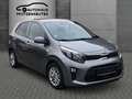 Kia Picanto Dream Team Gris - thumbnail 3
