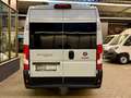 Fiat Ducato 2.3 D L5H2 AUTOMATIK VERGLAST AHK CAM PDC Grau - thumbnail 10
