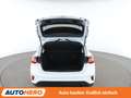 Ford Focus 1.5 TDCi EcoBlue Titanium X Aut.*LED*NAVI*ACC*CAM* Weiß - thumbnail 16