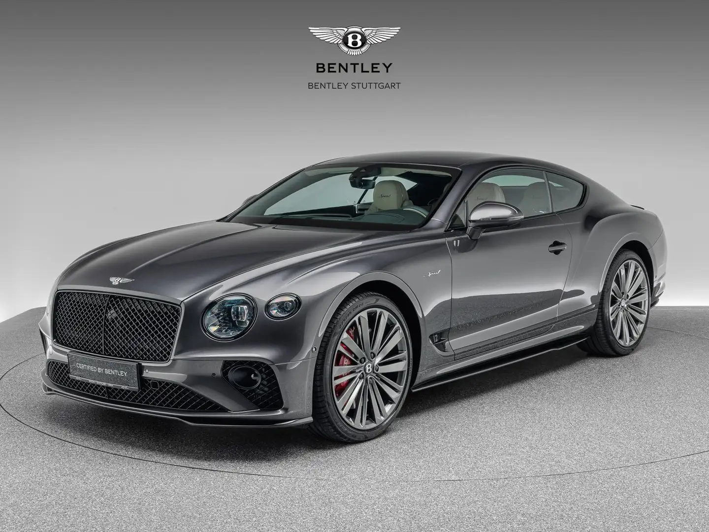 Bentley Continental GT Speed Silber - 2