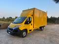 Fiat Ducato 35 2.3 MJT 130CV  Portata 1080 kg Amarillo - thumbnail 1