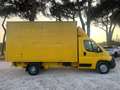Fiat Ducato 35 2.3 MJT 130CV  Portata 1080 kg Amarillo - thumbnail 4