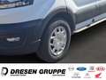 Ford Transit Kasten 350 L3 H2+Klima+Totwinkelassistent+Sitzheiz Weiß - thumbnail 6