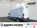 Ford Transit Kasten 350 L3 H2+Klima+Totwinkelassistent+Sitzheiz Weiß - thumbnail 4