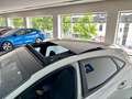 Ford Puma ST-Line 1.0 MHEV Automatik/ACC/AHK/PANO/SHZ Grau - thumbnail 17