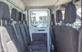 Ford Transit Pritsche 350 L2 Trend (DPL.KAB/AHK/KLIMA Blanc - thumbnail 9
