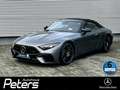 Mercedes-Benz SL 63 AMG SL 63 AMG 4M+ Distronic/Memory/360° Grau - thumbnail 1