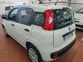 Fiat Panda 1.2  69cv 5 POSTI FENDI COM. VOL Brons - thumbnail 6