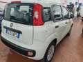 Fiat Panda 1.2  69cv 5 POSTI FENDI COM. VOL Brons - thumbnail 8
