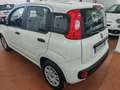 Fiat Panda 1.2  69cv 5 POSTI FENDI COM. VOL Brons - thumbnail 5
